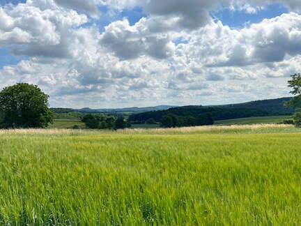 22-06-06 11-20-38 1053